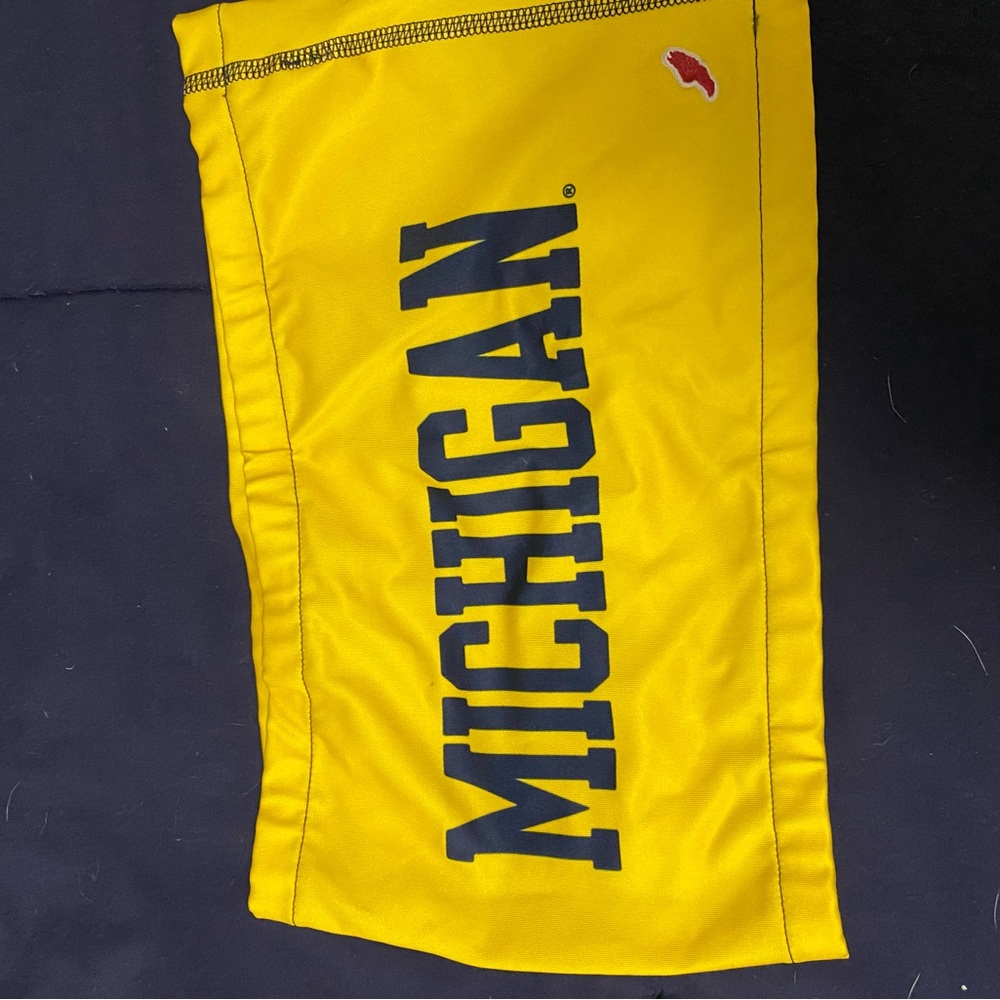 University of Michigan tailgate bandeau